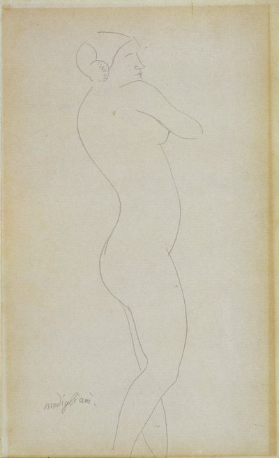 Ragazza nuda in piedi da Amedeo Modigliani